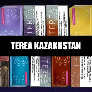TEREA Kazakhstan