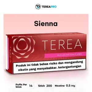 IQOS TEREA Sienna Indonesian smooth tobacco sticks for UAE smokers in Abu Dhabi