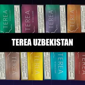 TEREA Uzbekistan